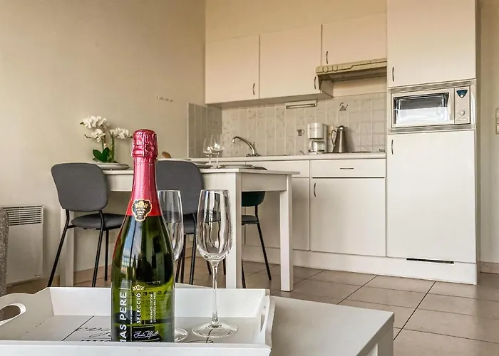 Apartment Residentie Zeezicht *